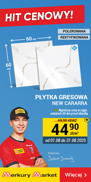 MerkuryPłytka
