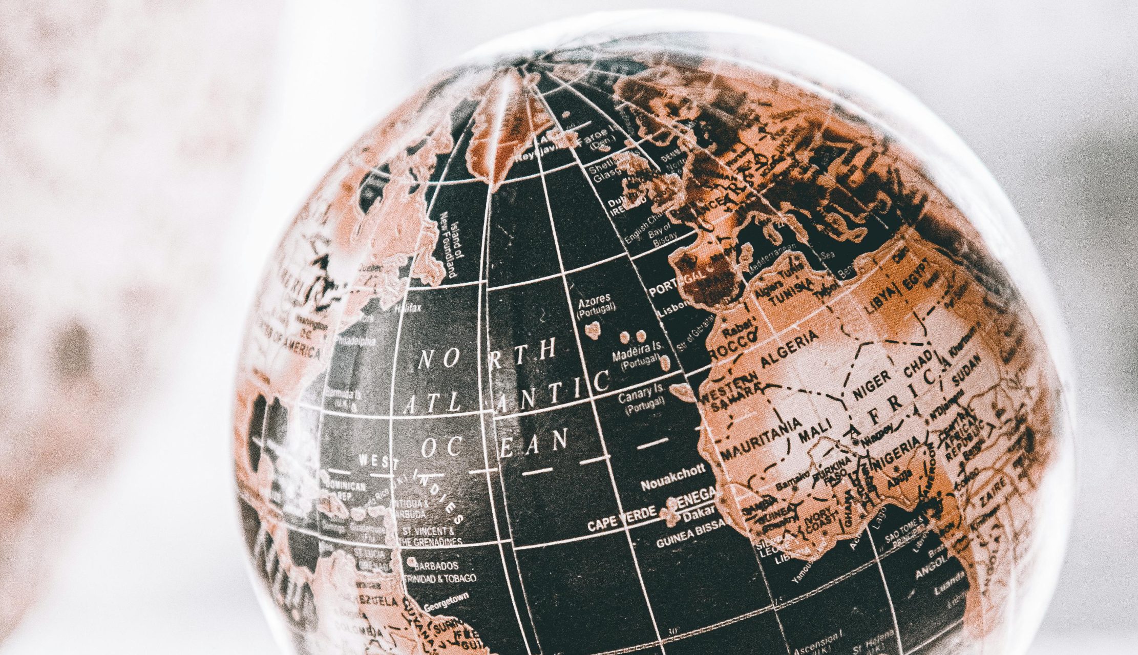 Są wyrocznią dla świata. Nowa prognoza. To wieszczą za oceanem 