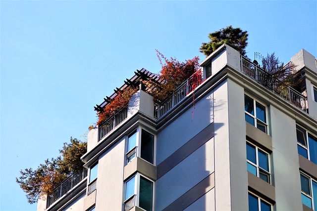 Nowe zasady grodzenia posesji od 2026 roku