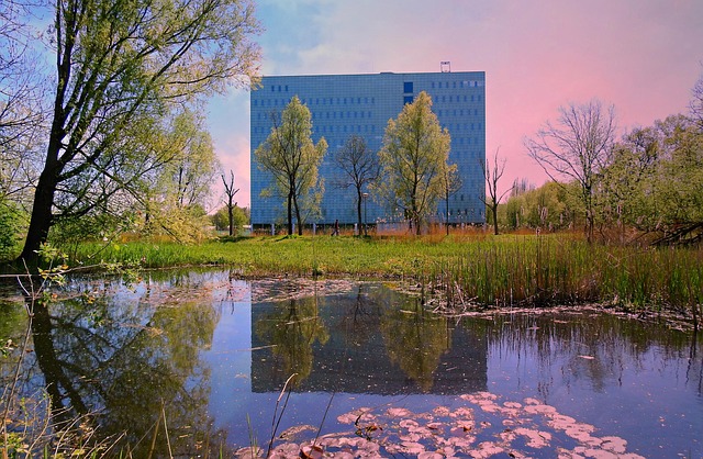 Rybnik zaskoczy kupujących mieszkania? To musisz wiedzieć