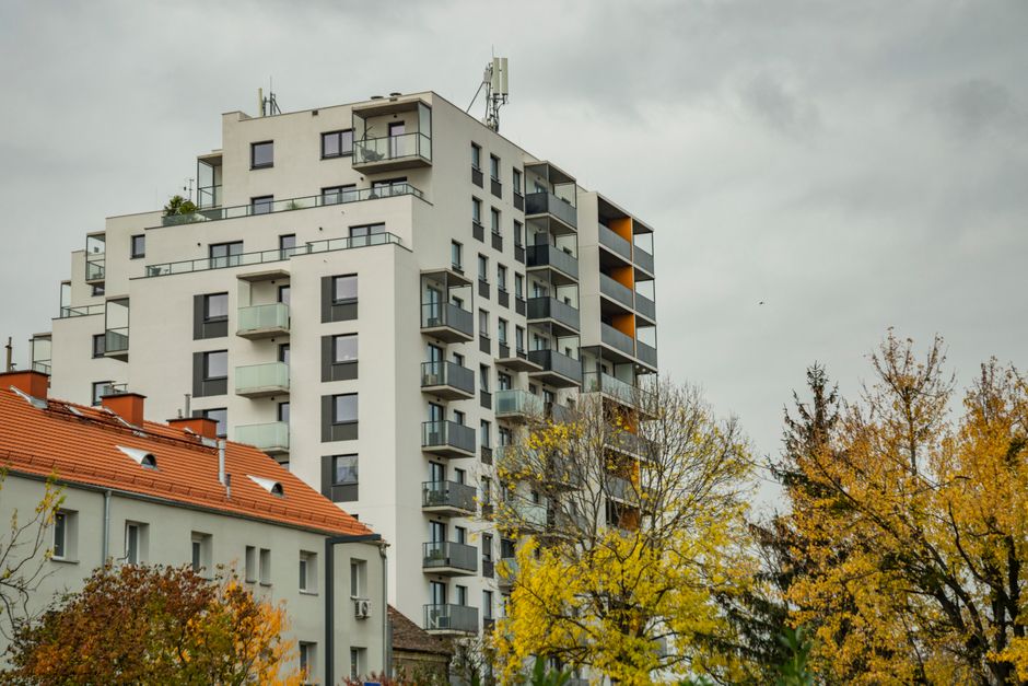 Zimowy ogród: Przedłużenie lata. Ile kosztuje taka inwestycja?
